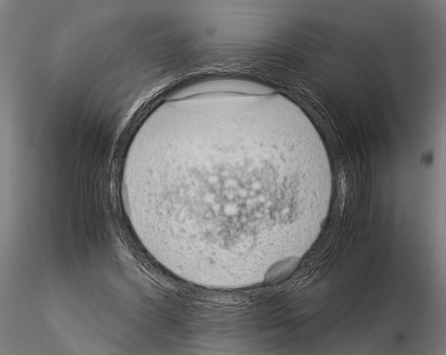 X0000115210396200912091202