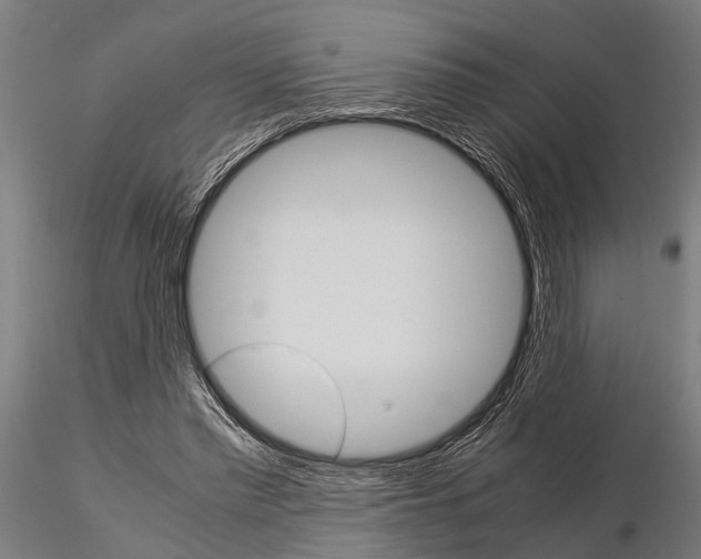 X0000115210397200912091202