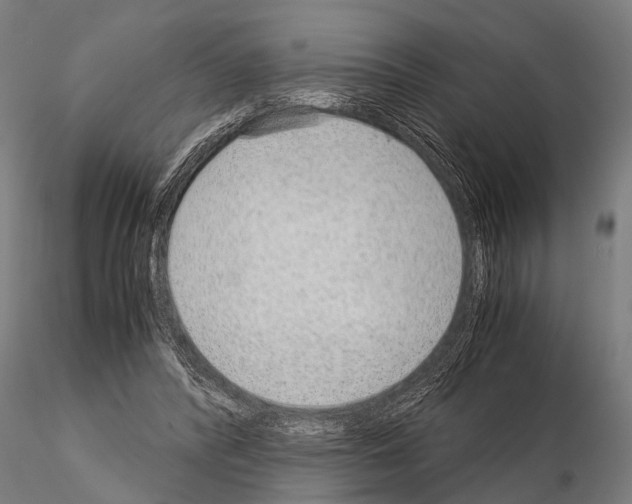 X0000115210400200912091202