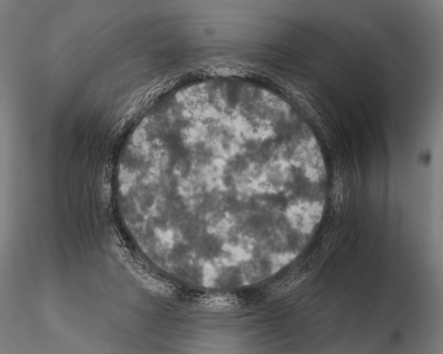 X0000115210402200912091202