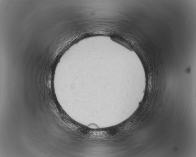 X0000115210403200912091202