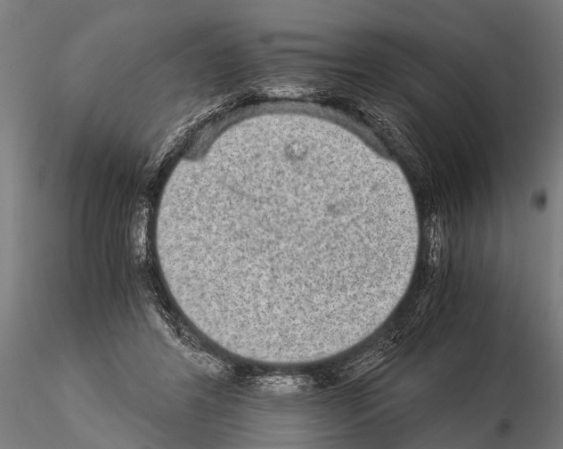 X0000115210404200912091202