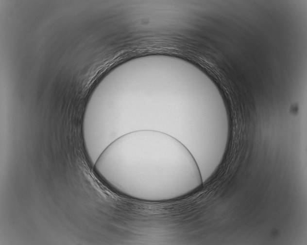 X0000115210405200912091202