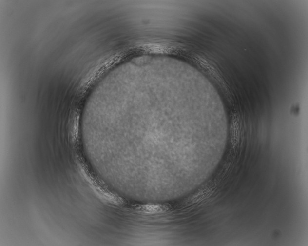 X0000115210406200912091202