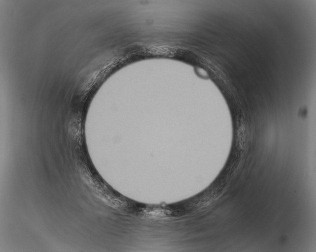 X0000115210407200912091202