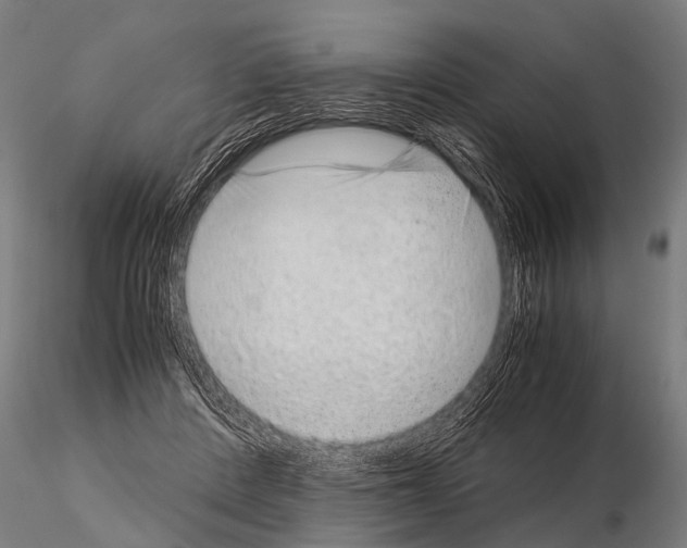 X0000115210408200912091202