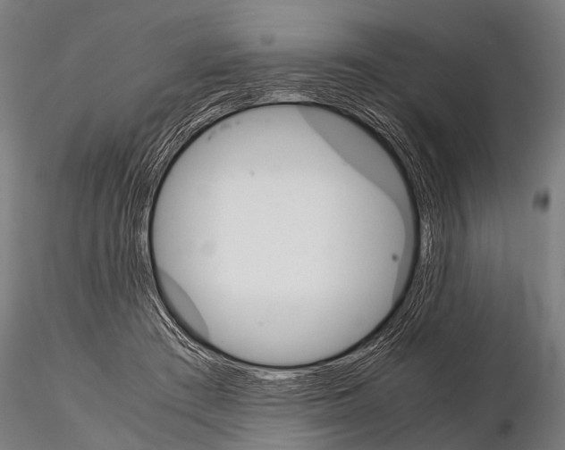 X0000115210409200912091202