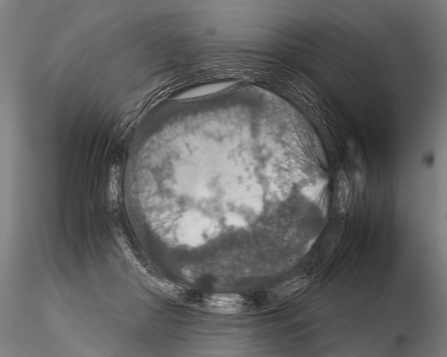 X0000115210410200912091202