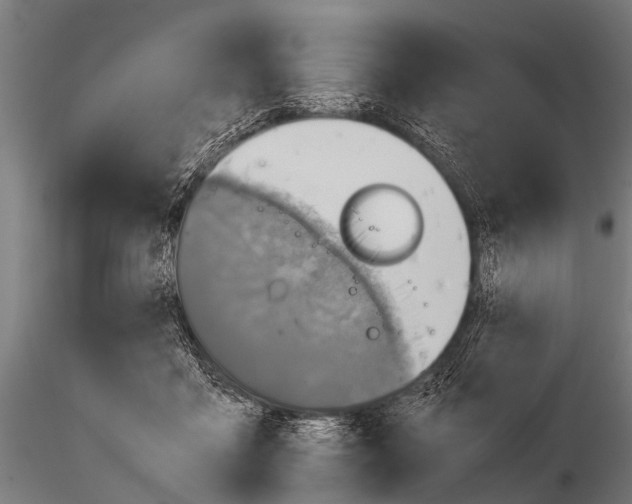 X0000115210411200912091202