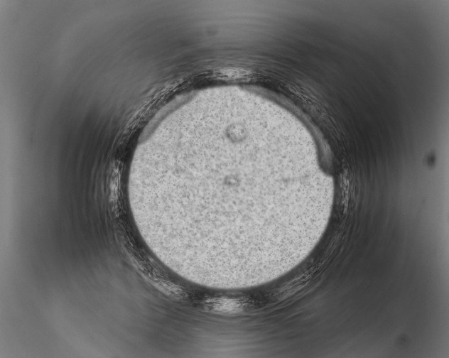 X0000115210412200912091202