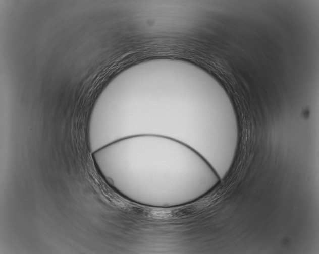 X0000115210413200912091202