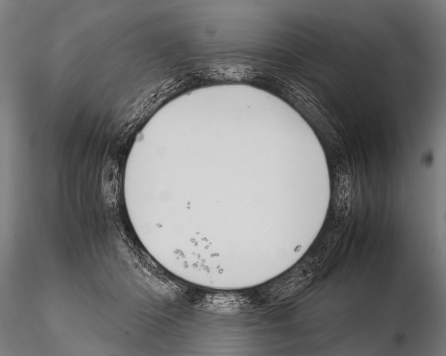 X0000115210414200912091202