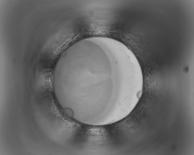 X0000115210415200912091202