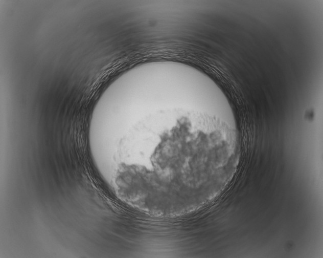 X0000115210416200912091202