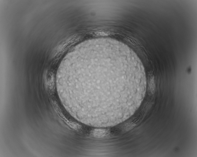 X0000115210418200912091202