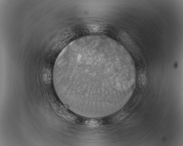 X0000115210419200912091202