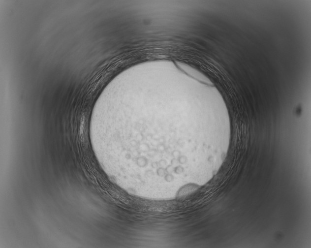 X0000115210420200912091202