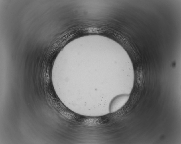 X0000115210422200912091202