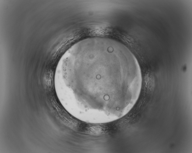 X0000115210423200912091202