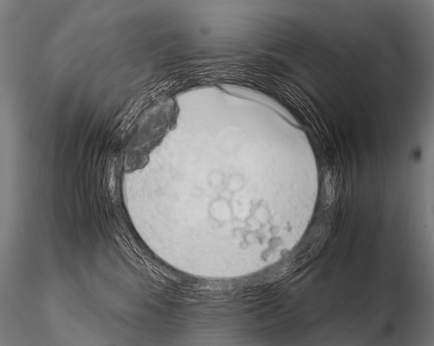 X0000115210424200912091202