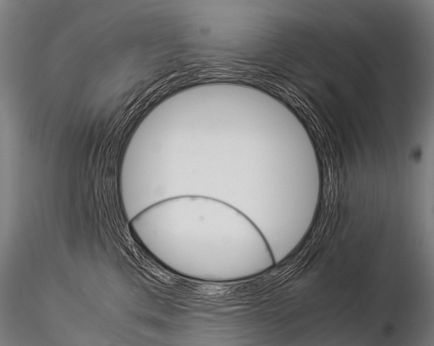 X0000115210425200912091202