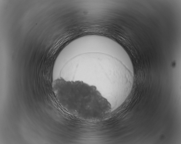 X0000115210428200912091202