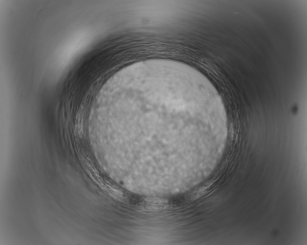 X0000115210429200912091202