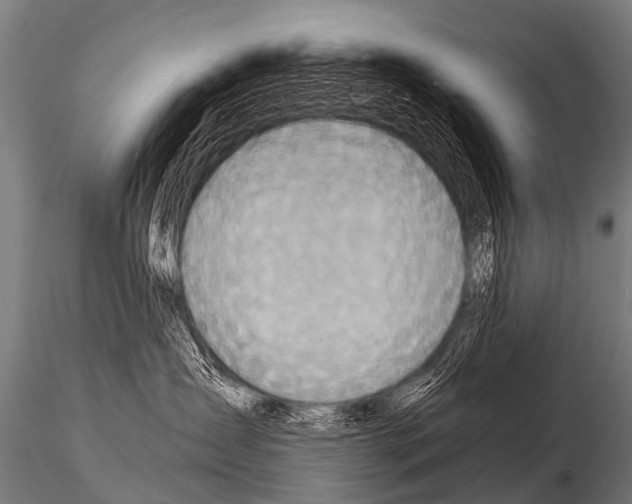 X0000115210431200912091202