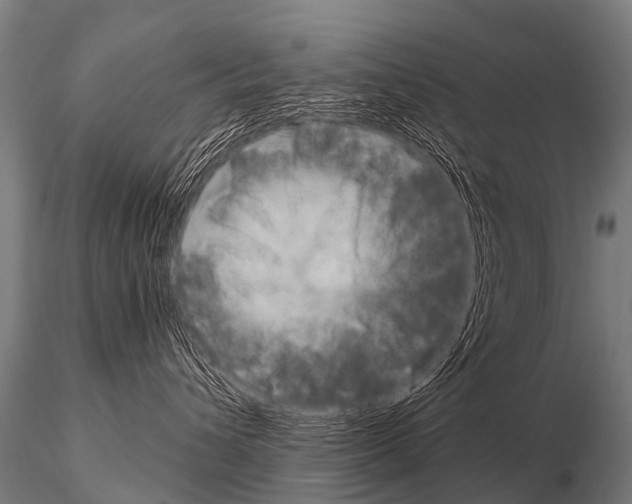 X0000115210432200912091202