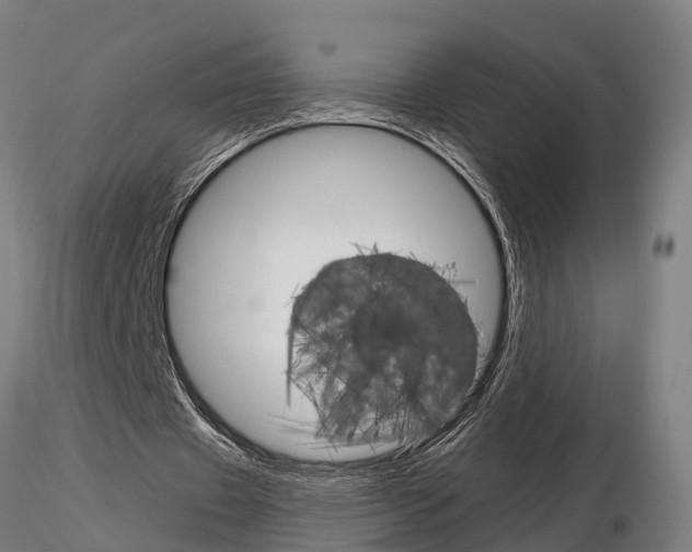 X0000115210433200912091201