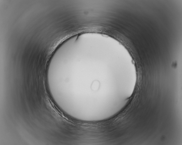 X0000115210434200912091201