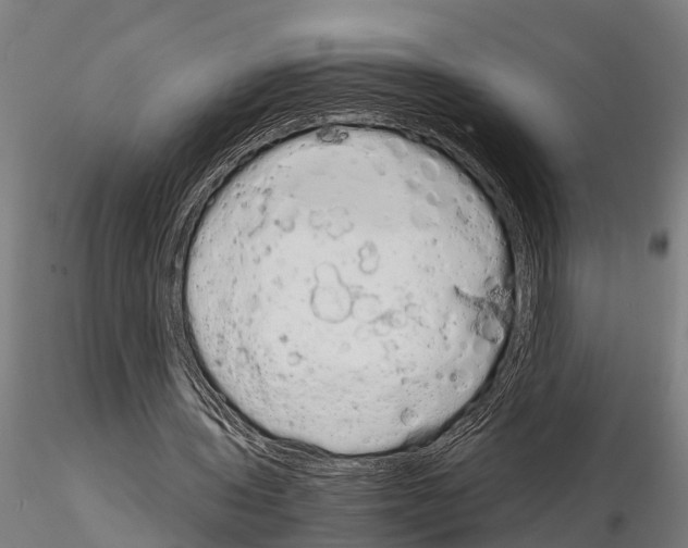 X0000115210435200912091201