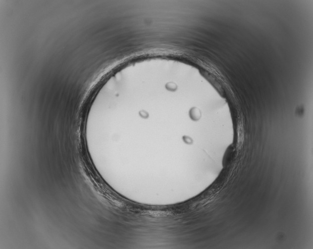 X0000115210436200912091201