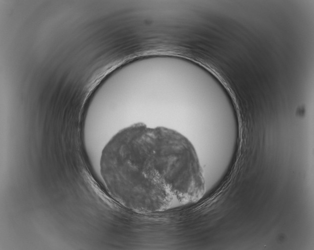 X0000115210437200912091201