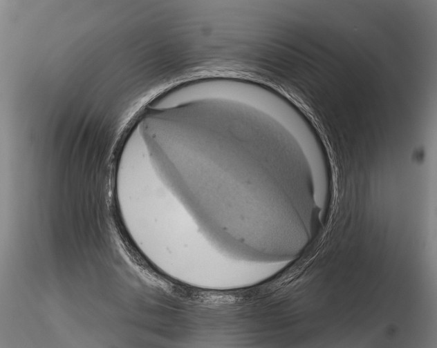 X0000115210438200912091201