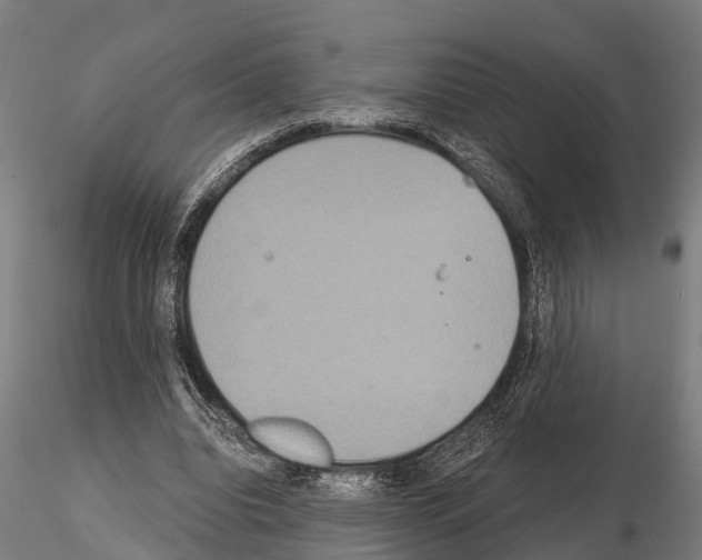 X0000115210440200912091201