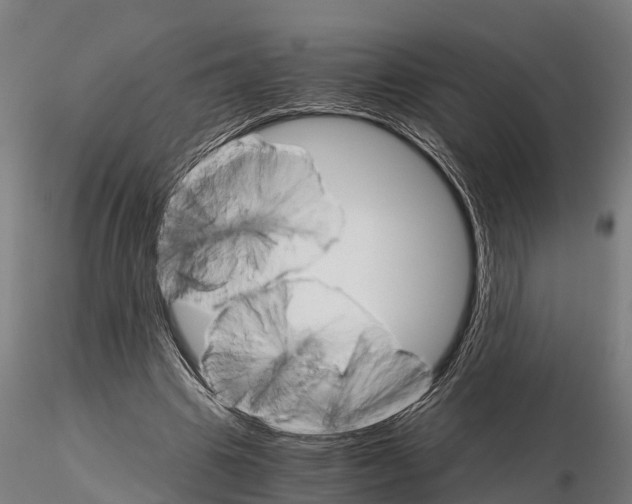 X0000115210441200912091201