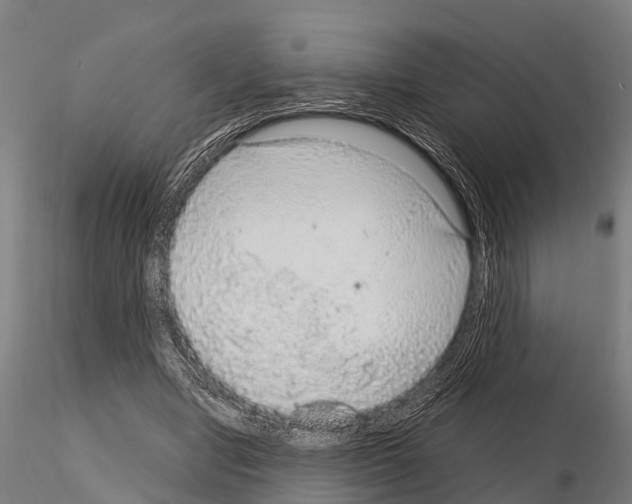 X0000115210442200912091201