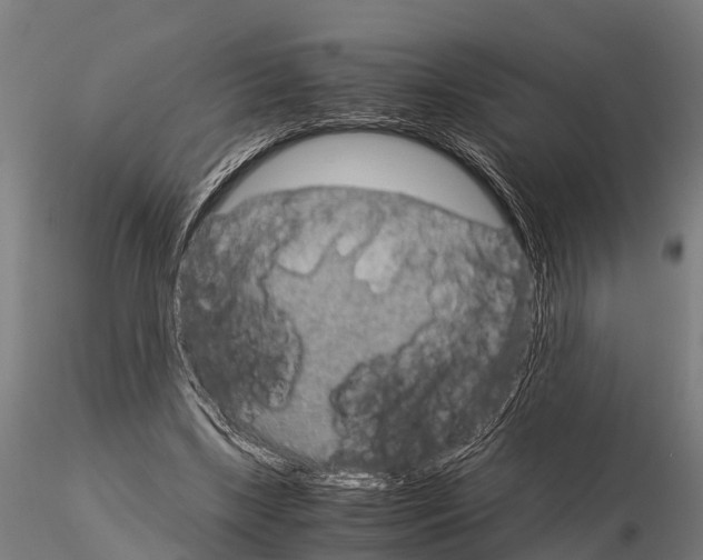 X0000115210443200912091201