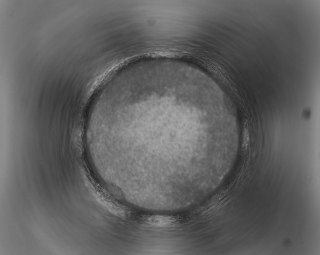 X0000115210444200912091201