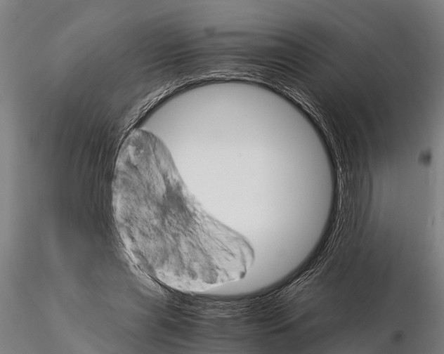 X0000115210445200912091201