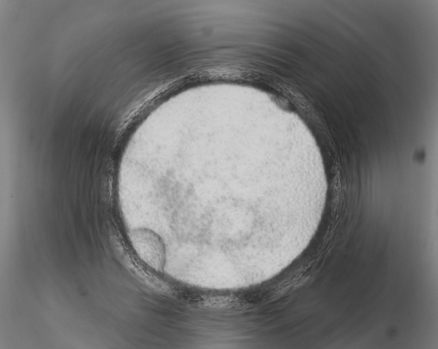 X0000115210446200912091201