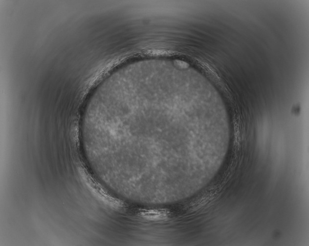 X0000115210447200912091201