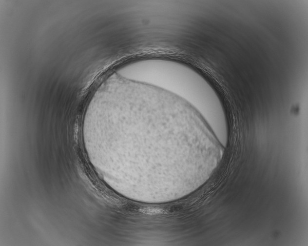 X0000115210448200912091201