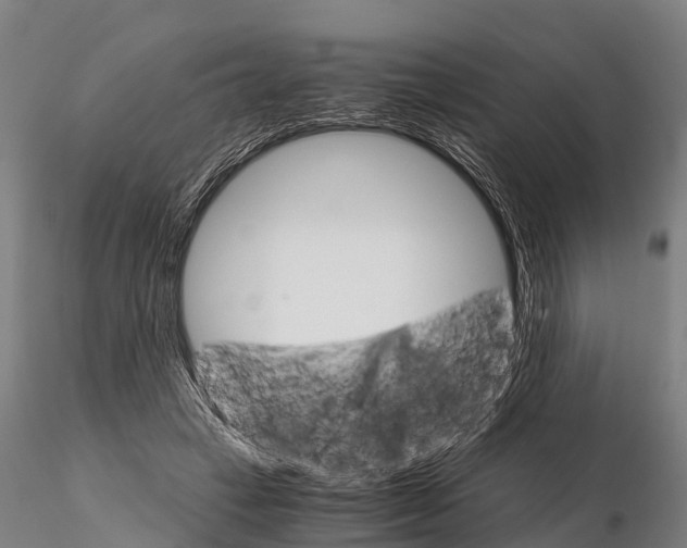 X0000115210449200912091201