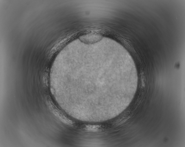 X0000115210450200912091201