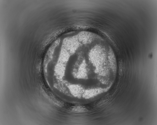 X0000115210451200912091201