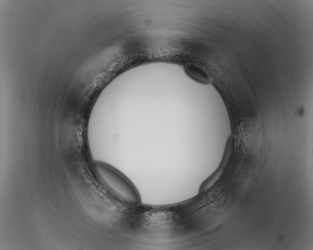 X0000115210452200912091201