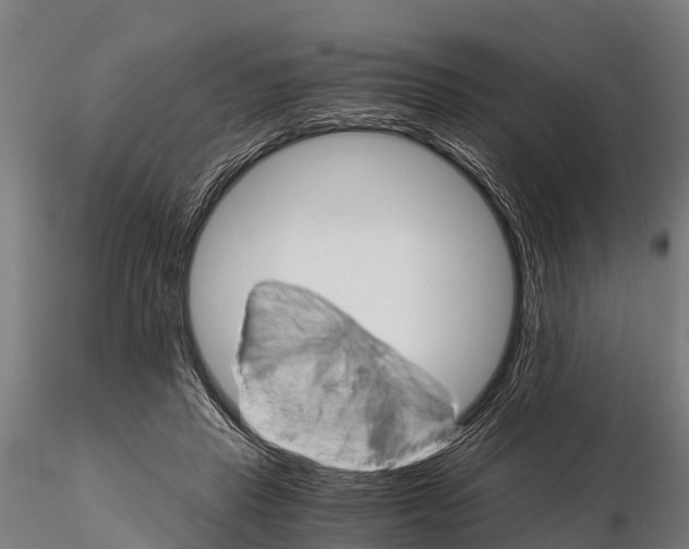 X0000115210453200912091202