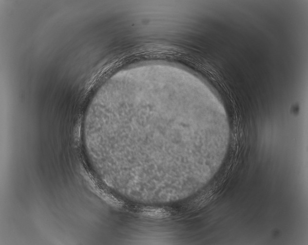 X0000115210454200912091202